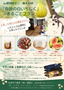 ８月、９月だけの限定プランのご案内です！！